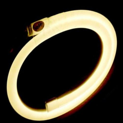  Neon-Warm-White