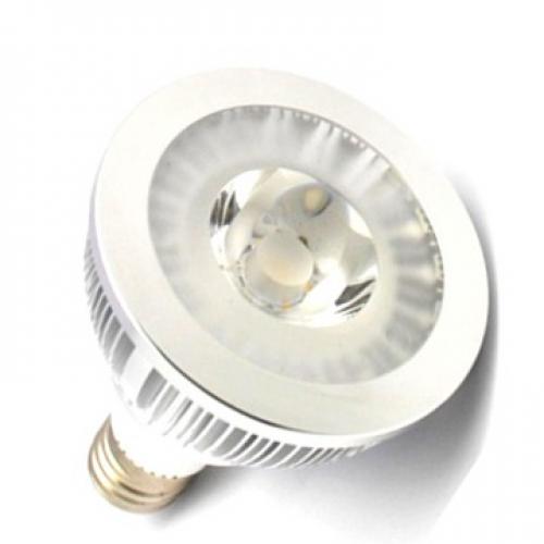  PAR30-COB10W-38