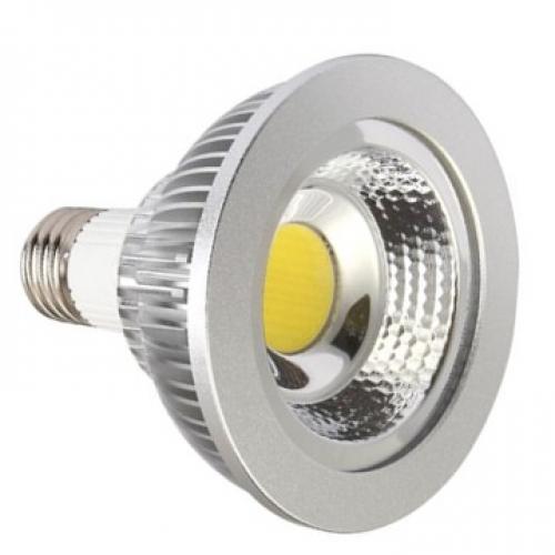  PAR30-COB10W-80