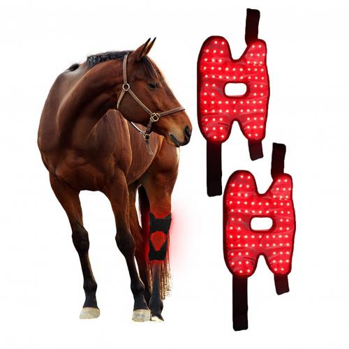  HL-76