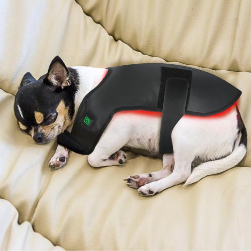  HL-DOG74