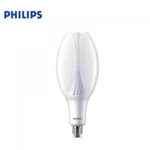  PHILIPSHID