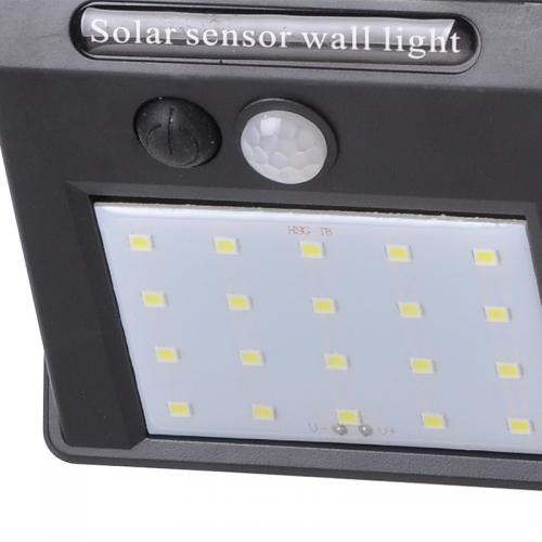  D20LED