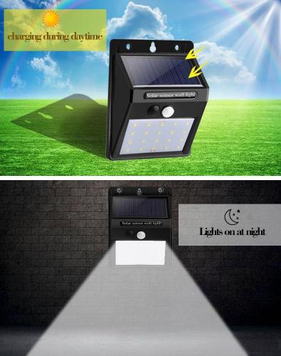  D20LED